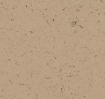 Кварцвиниловые полы Forbo Allura Colour/Colour Plus C68014-651014 cafe au lait фото 1 | FLOORDEALER